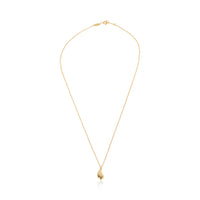 Yellow Gold  Elsa Peretti Teardrop Pendant