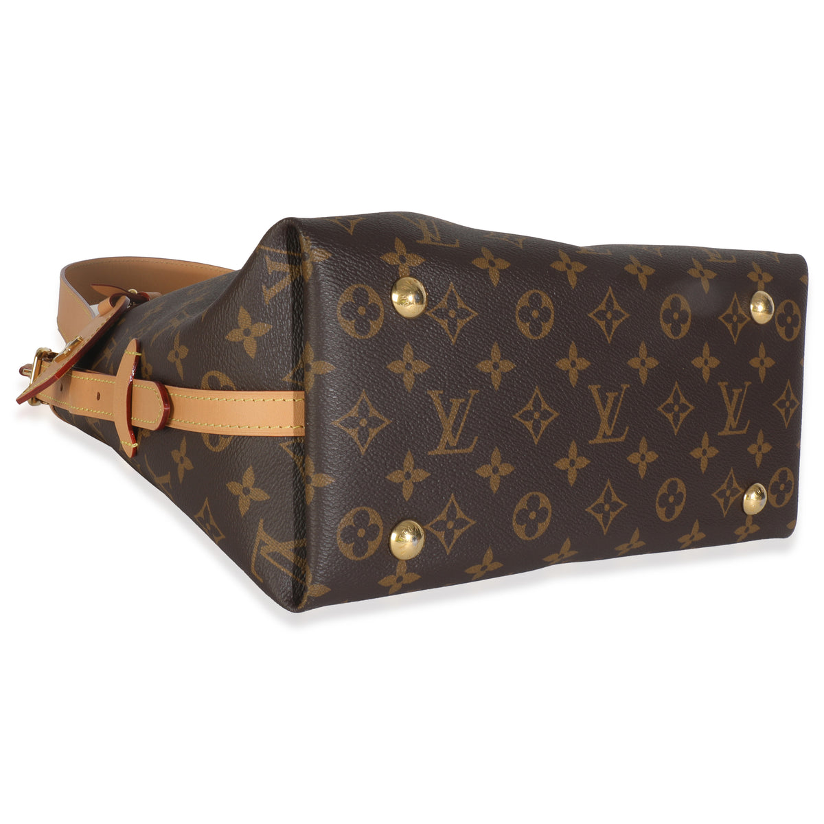 Monogram Canvas CarryAll PM