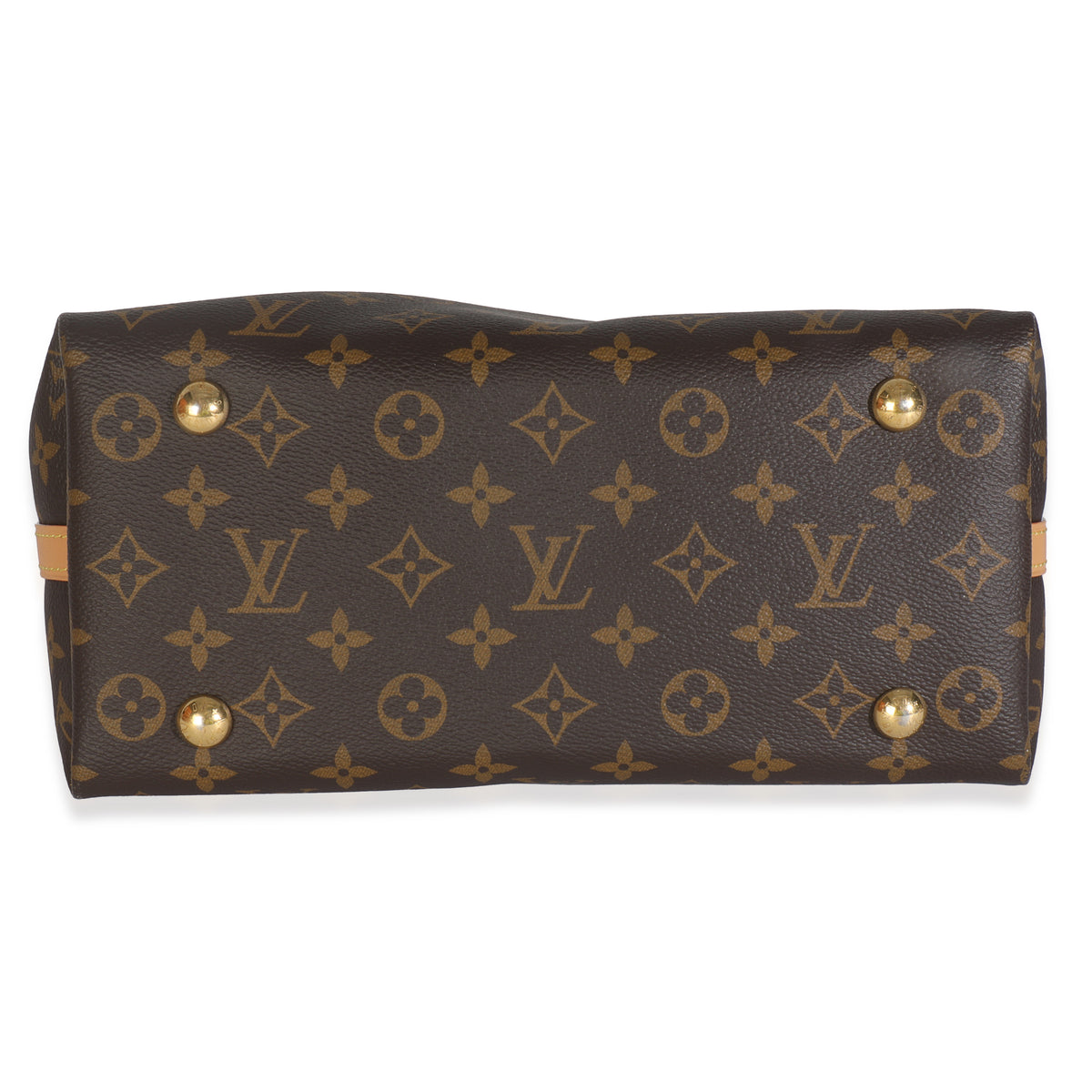 Monogram Canvas CarryAll PM