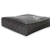 Triomphe Canvas Tan Calfskin Small Vertical Cabas