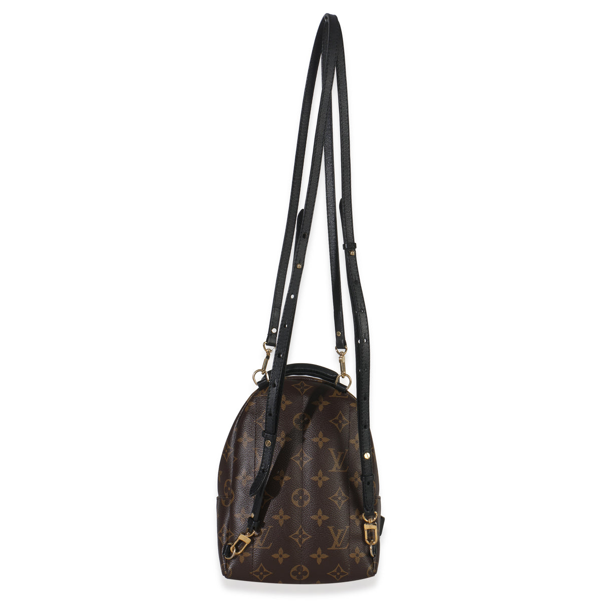 Louis Vuitton Monogram Canvas Mini Palm Springs Handbag bv