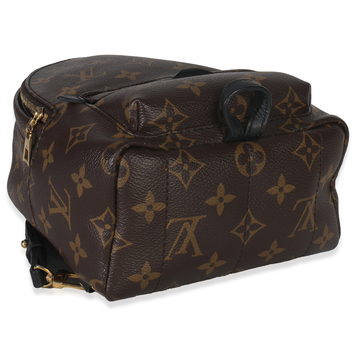 Louis Vuitton Monogram Canvas Mini Palm Springs Handbag clasp