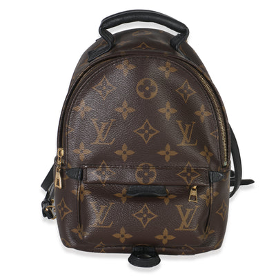 Louis Vuitton Monogram Canvas Mini Palm Springs Handbag fv