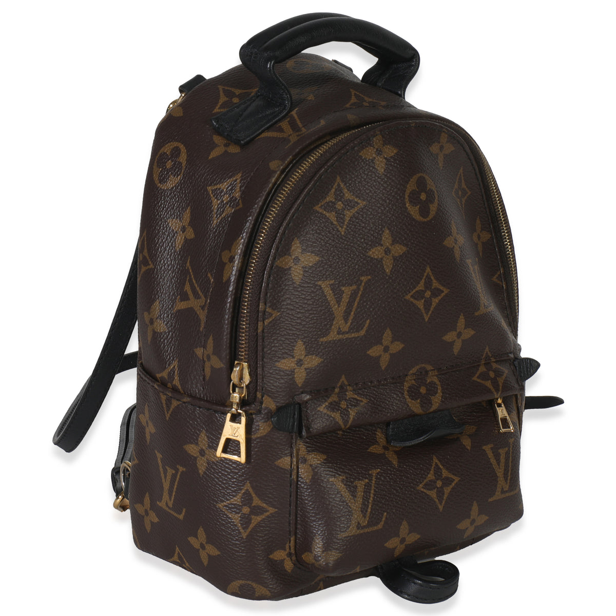 Louis Vuitton Monogram Canvas Mini Palm Springs Handbag pv