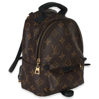Louis Vuitton Monogram Canvas Mini Palm Springs Handbag pv