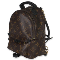 Louis Vuitton Monogram Canvas Mini Palm Springs Handbag sv