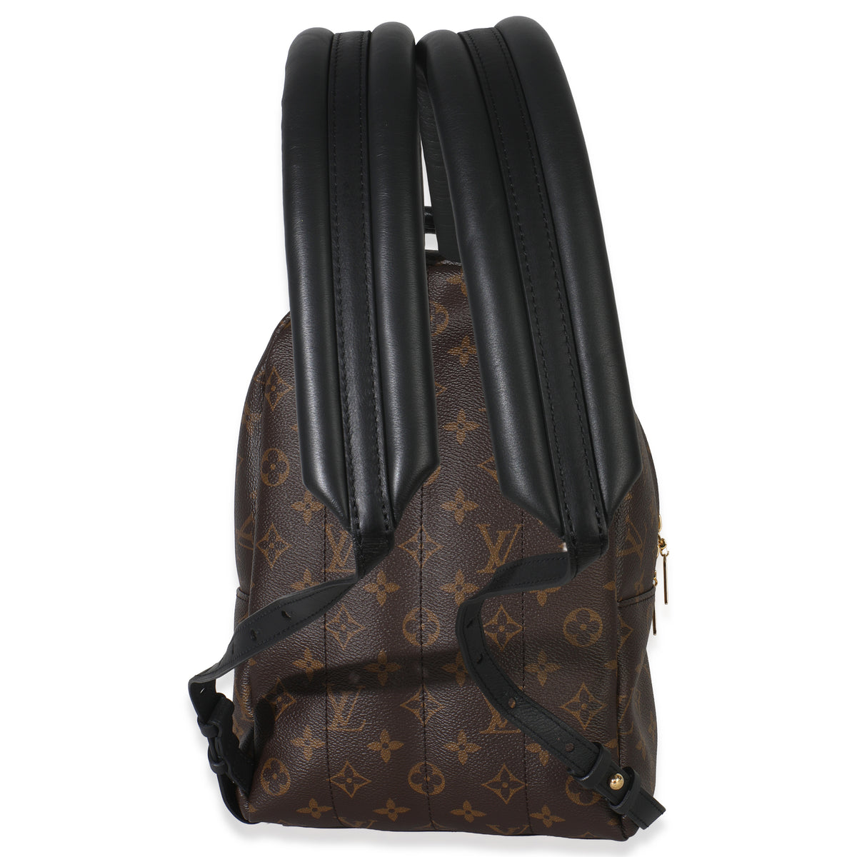 Reverse Monogram Canvas Palm Springs PM