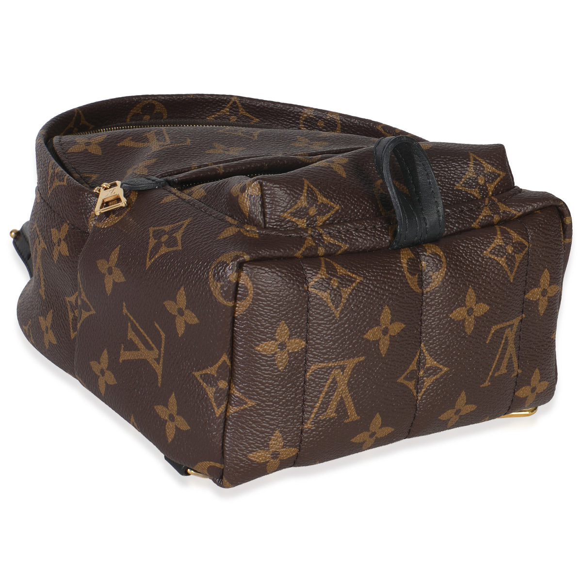 Monogram Canvas Mini Palm Springs