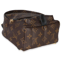 Monogram Canvas Mini Palm Springs
