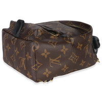 Monogram Canvas Mini Palm Springs