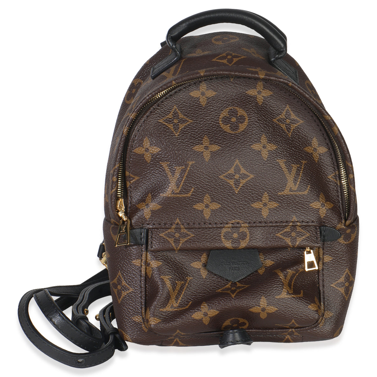 Monogram Canvas Mini Palm Springs