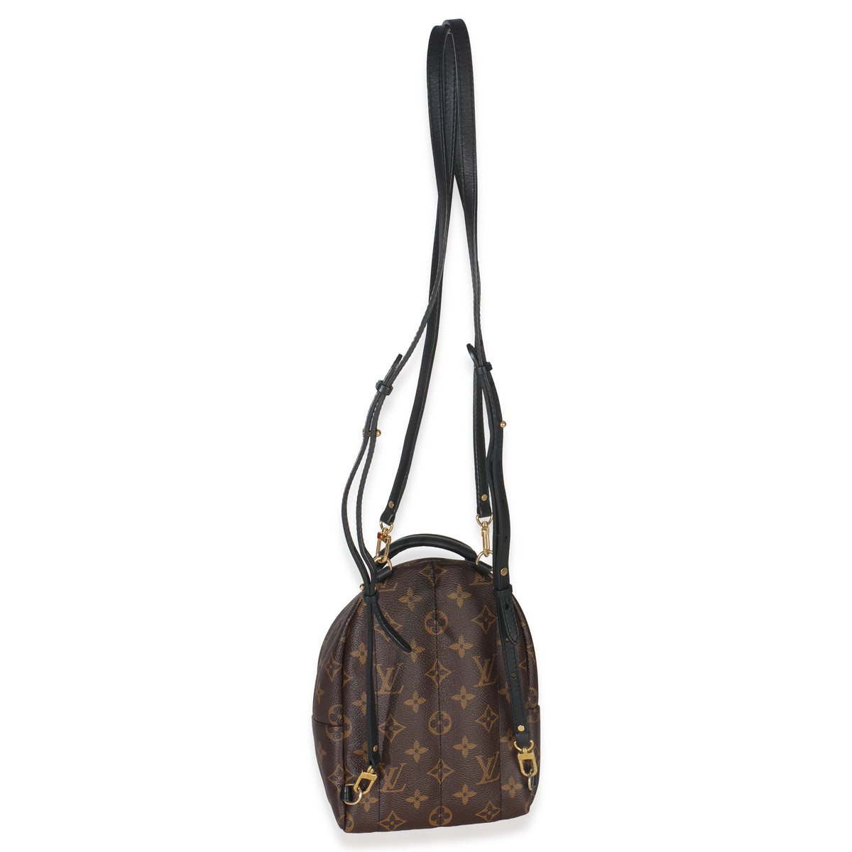Monogram Canvas Mini Palm Springs