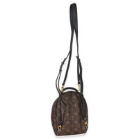 Monogram Canvas Mini Palm Springs