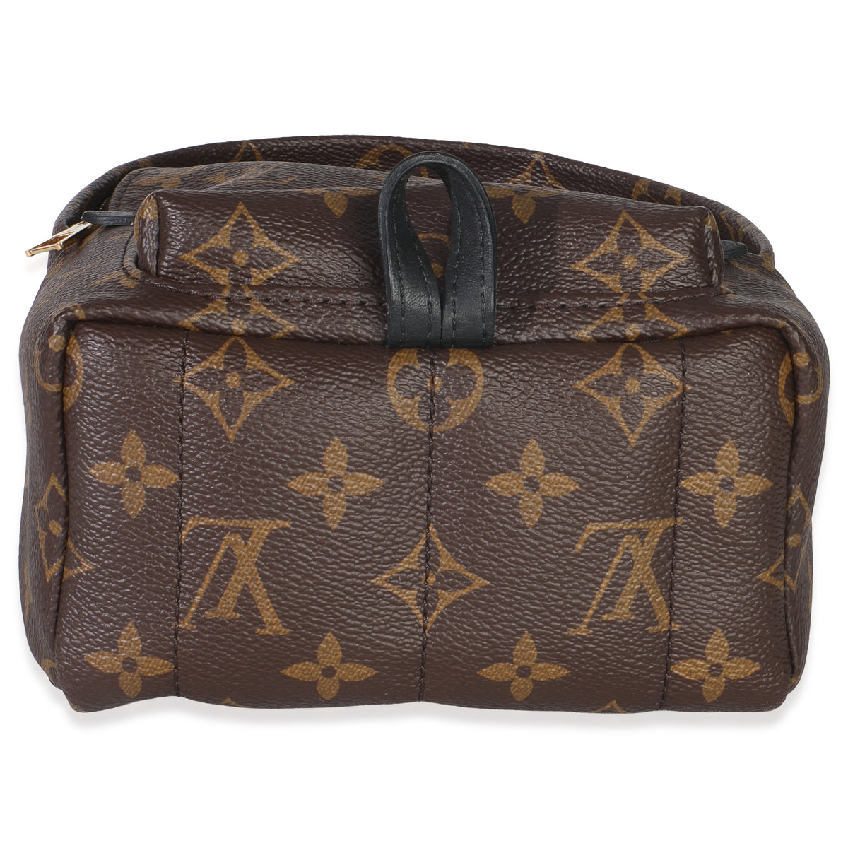 Monogram Canvas Mini Palm Springs