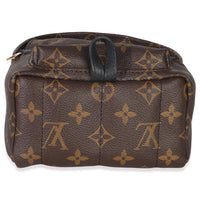 Monogram Canvas Mini Palm Springs