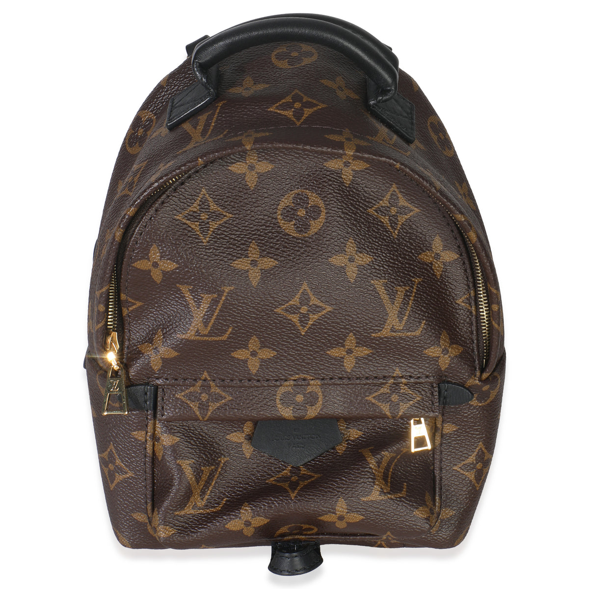 Monogram Canvas Mini Palm Springs