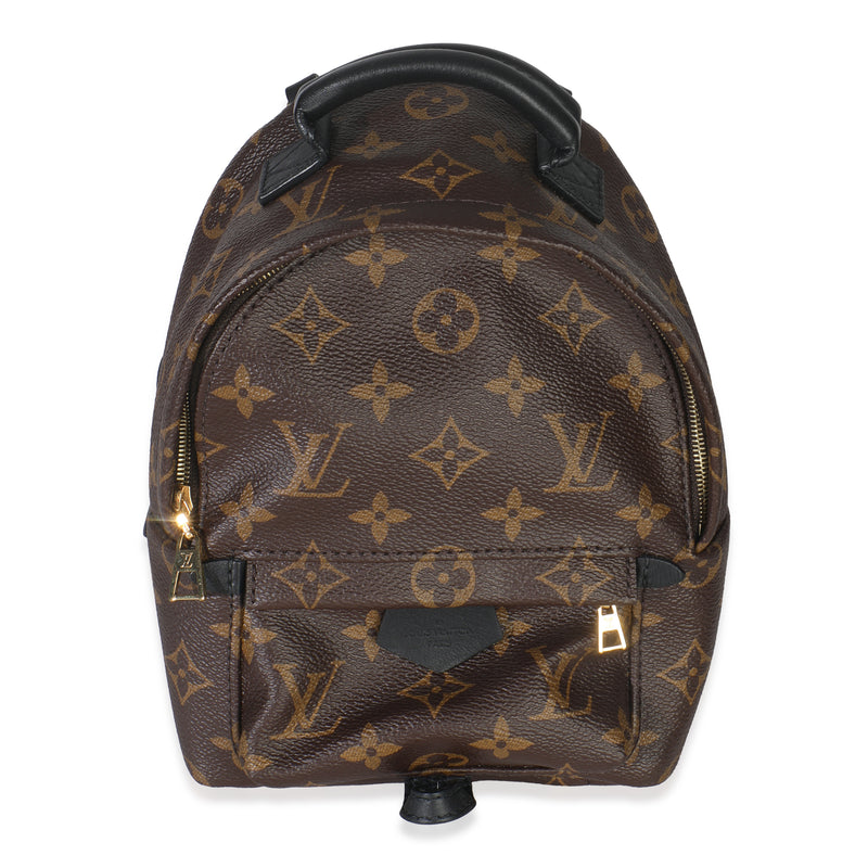 Monogram Canvas Mini Palm Springs