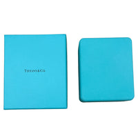 Tiffany & Co. Platinum Diamond Elsa Peretti Bean Pendant box