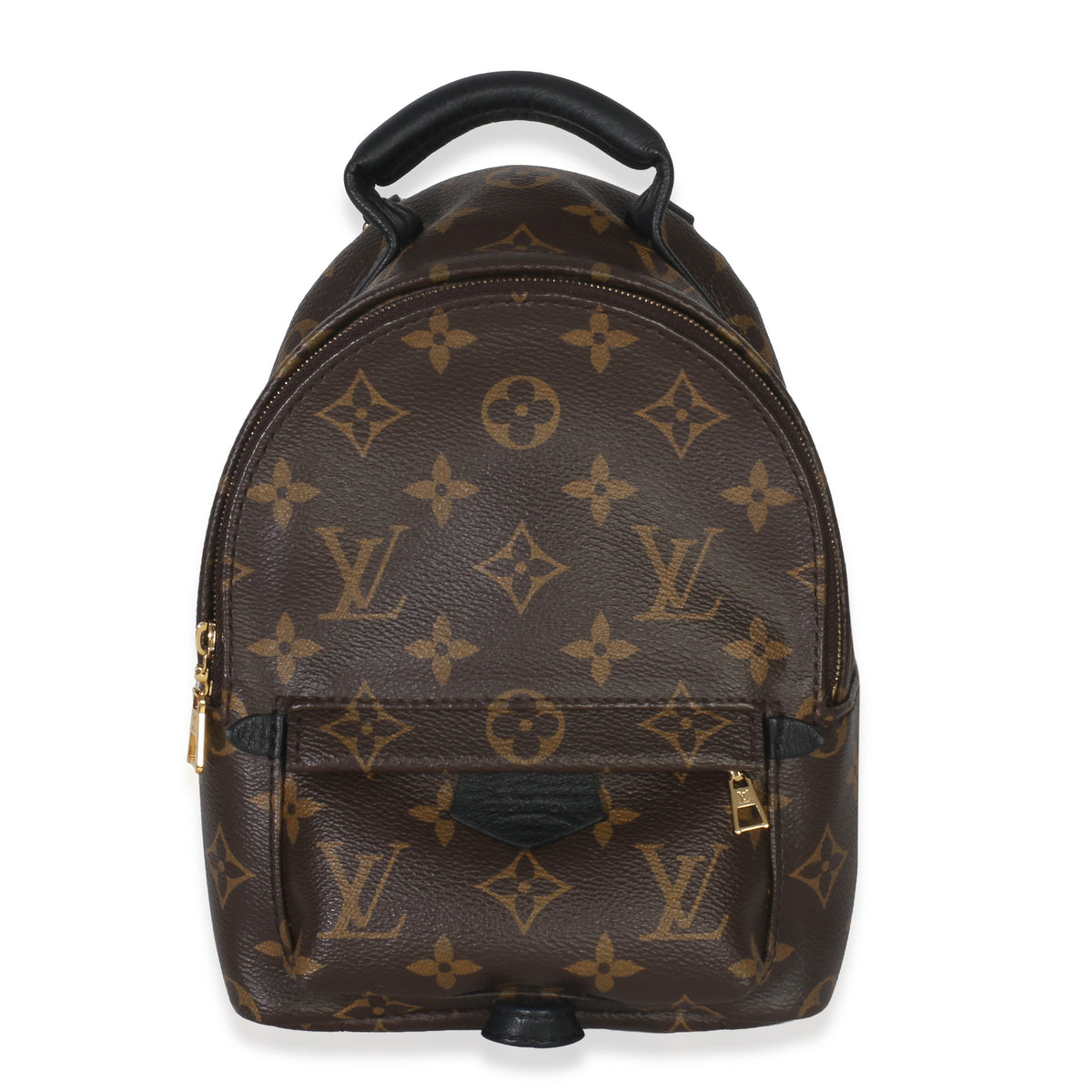 Monogram Canvas Mini Palm Springs