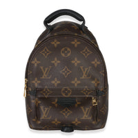 Monogram Canvas Mini Palm Springs