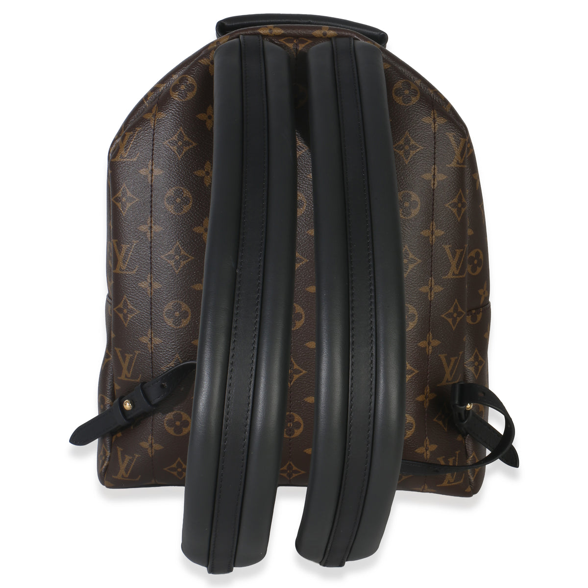 Louis Vuitton Monogram Canvas Palm Springs MM Handbag bv