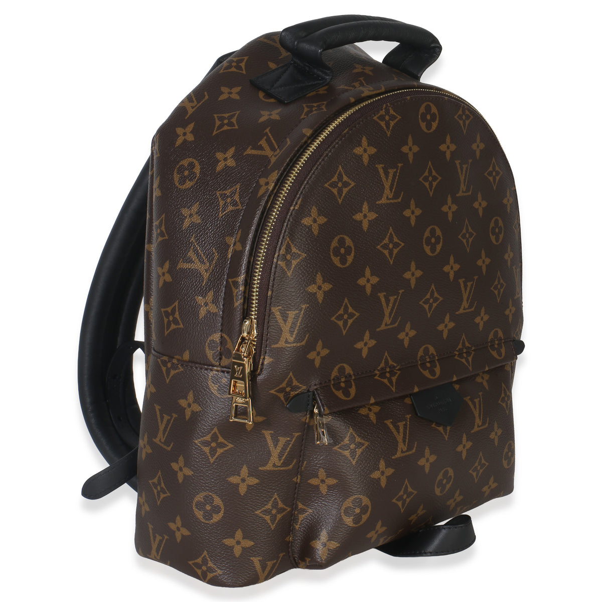 Louis Vuitton Monogram Canvas Palm Springs MM Handbag pv