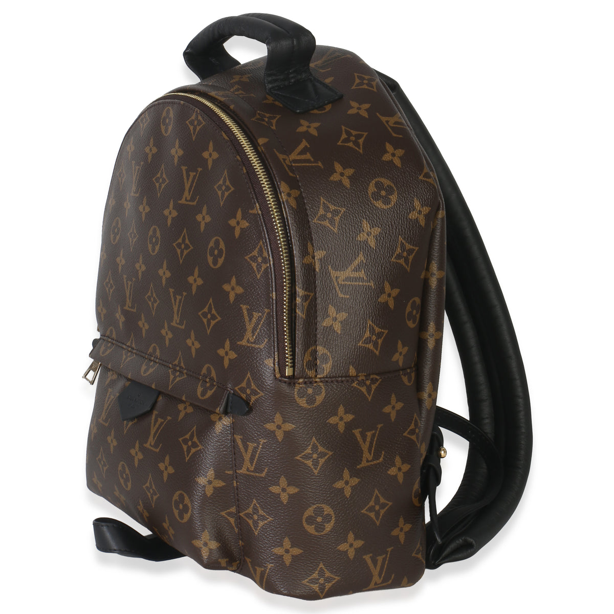 Louis Vuitton Monogram Canvas Palm Springs MM Handbag sv