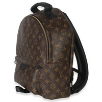 Louis Vuitton Monogram Canvas Palm Springs MM Handbag sv