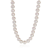 White Gold Pearl Pearl Essentials Necklace