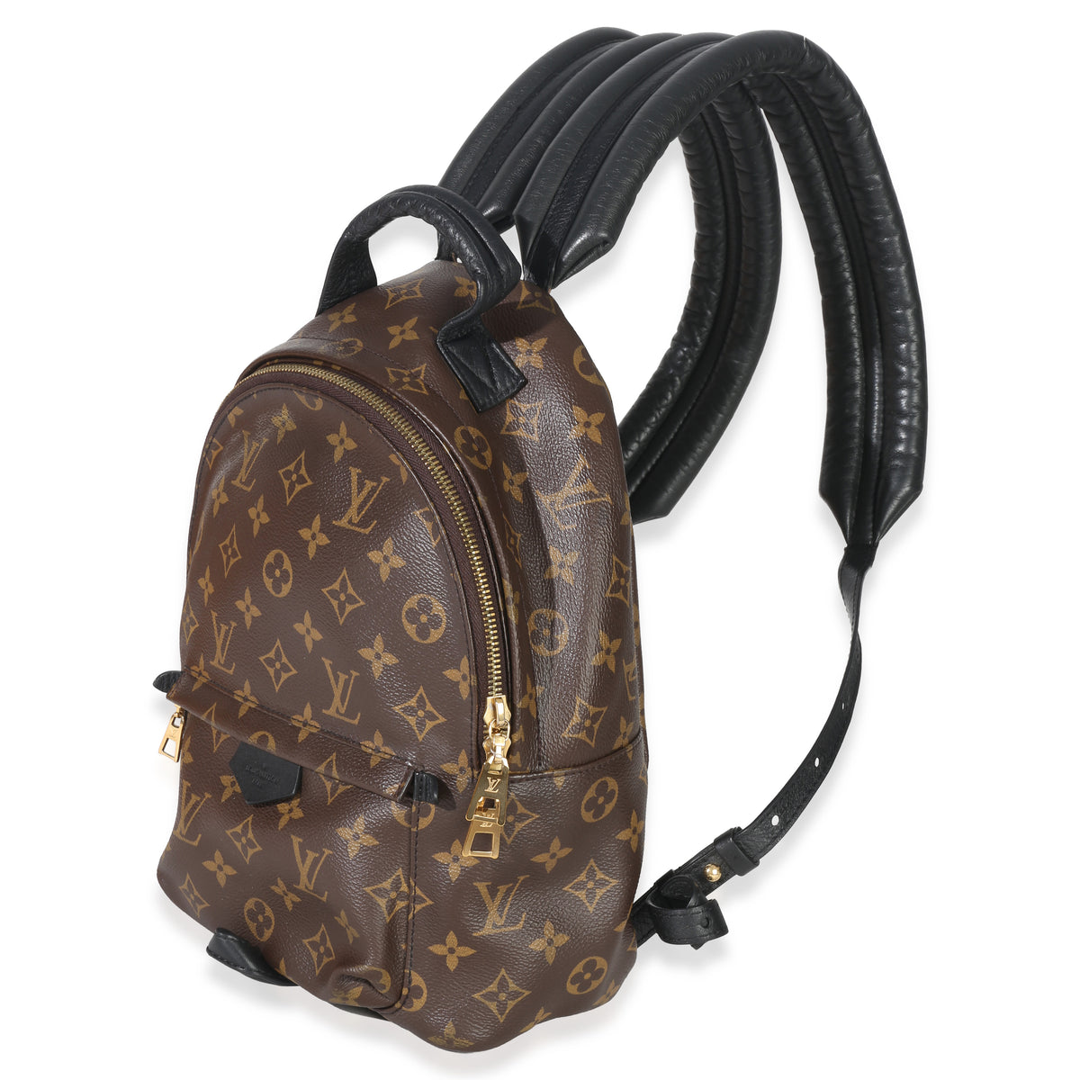 Reverse Monogram Canvas Palm Springs PM