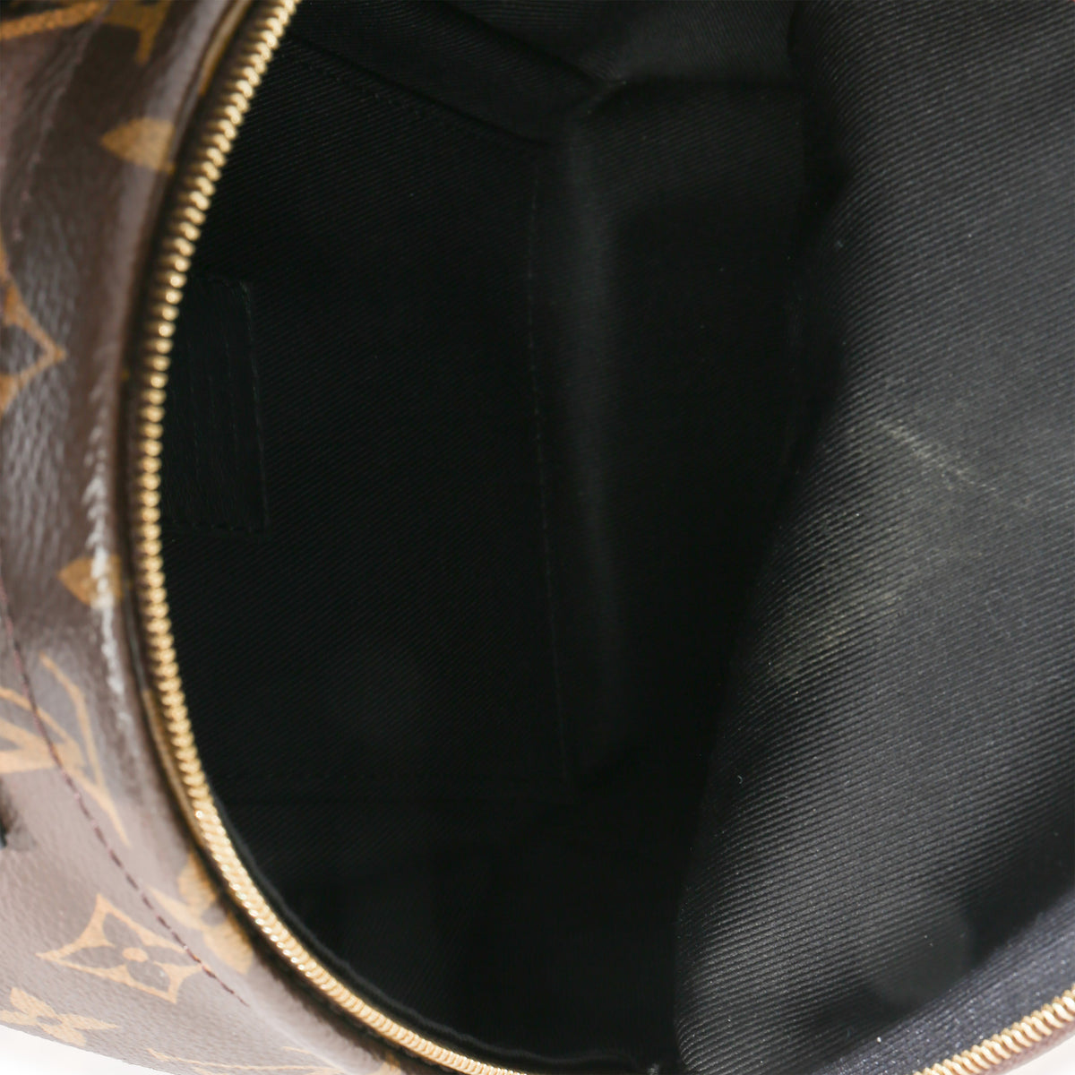Louis Vuitton Monogram Canvas Mini Palm Springs Handbag ad1