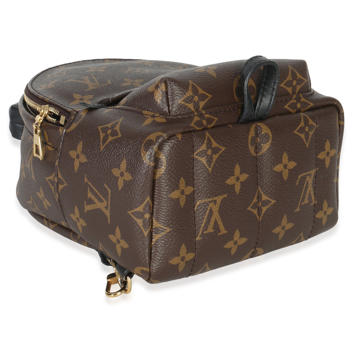Louis Vuitton Monogram Canvas Mini Palm Springs Handbag av