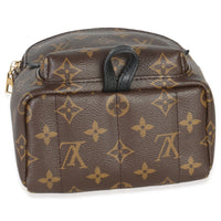 Louis Vuitton Monogram Canvas Mini Palm Springs Handbag box