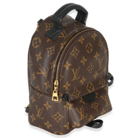 Louis Vuitton Monogram Canvas Mini Palm Springs Handbag bv
