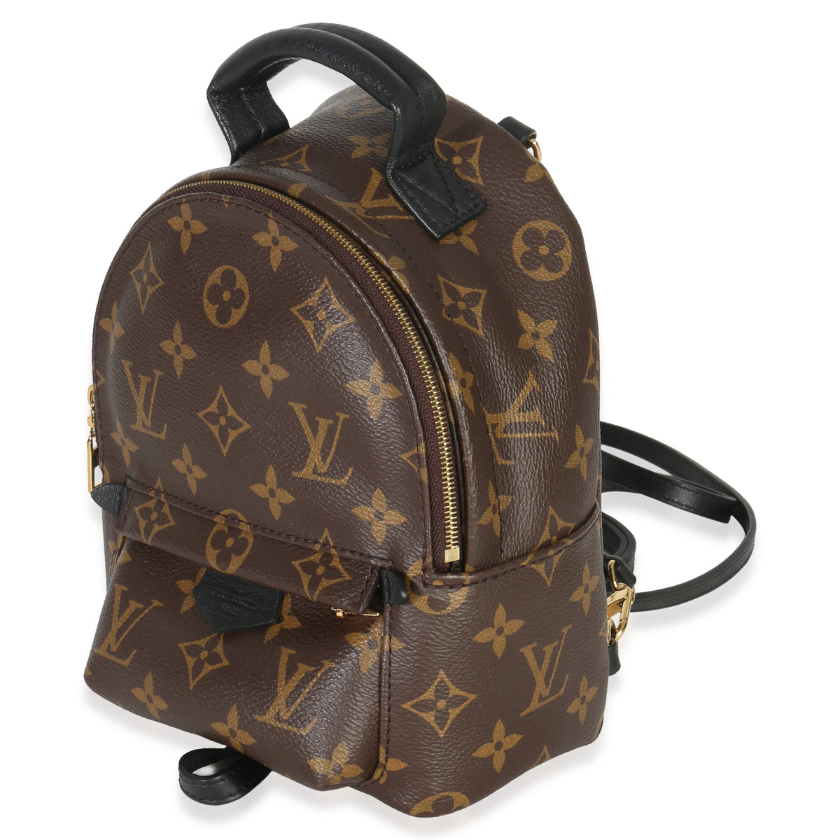 Louis Vuitton Monogram Canvas Mini Palm Springs Handbag pv