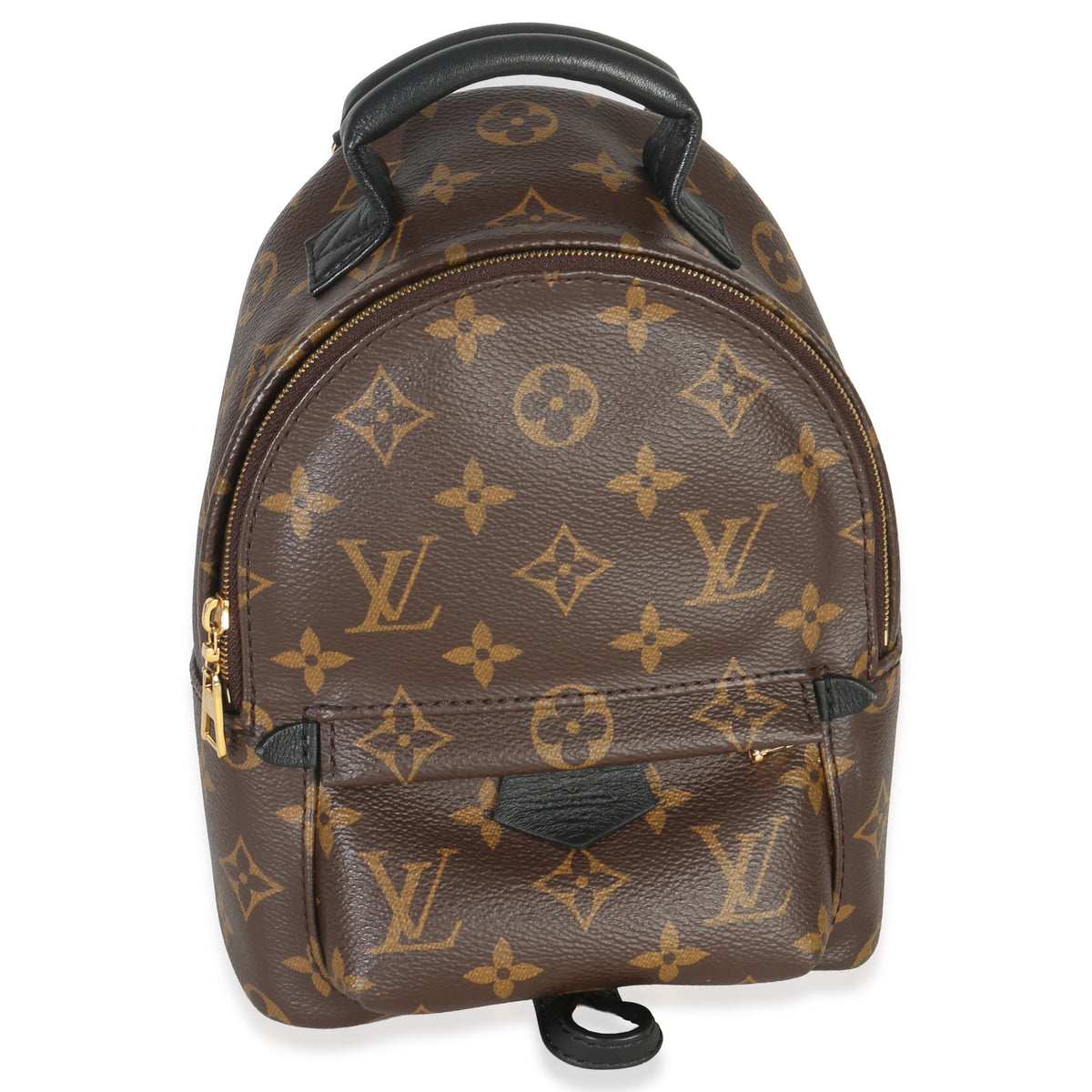 Louis Vuitton Monogram Canvas Mini Palm Springs Handbag sv