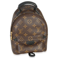 Louis Vuitton Monogram Canvas Mini Palm Springs Handbag sv