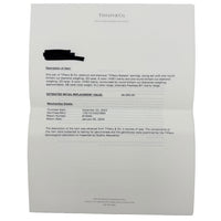 Tiffany & Co. Platinum Diamond Soleste Earrings stamp