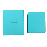 Tiffany & Co. Platinum Diamond Large Model Victoria Pendant box