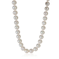 Tiffany & Co. White Gold Pearl Essential Necklace fv