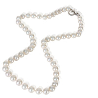 Tiffany & Co. White Gold Pearl Essential Necklace pv