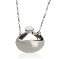 Tiffany & Co. Sterling Silver  Elsa Peretti Small Bottle Pendant fv