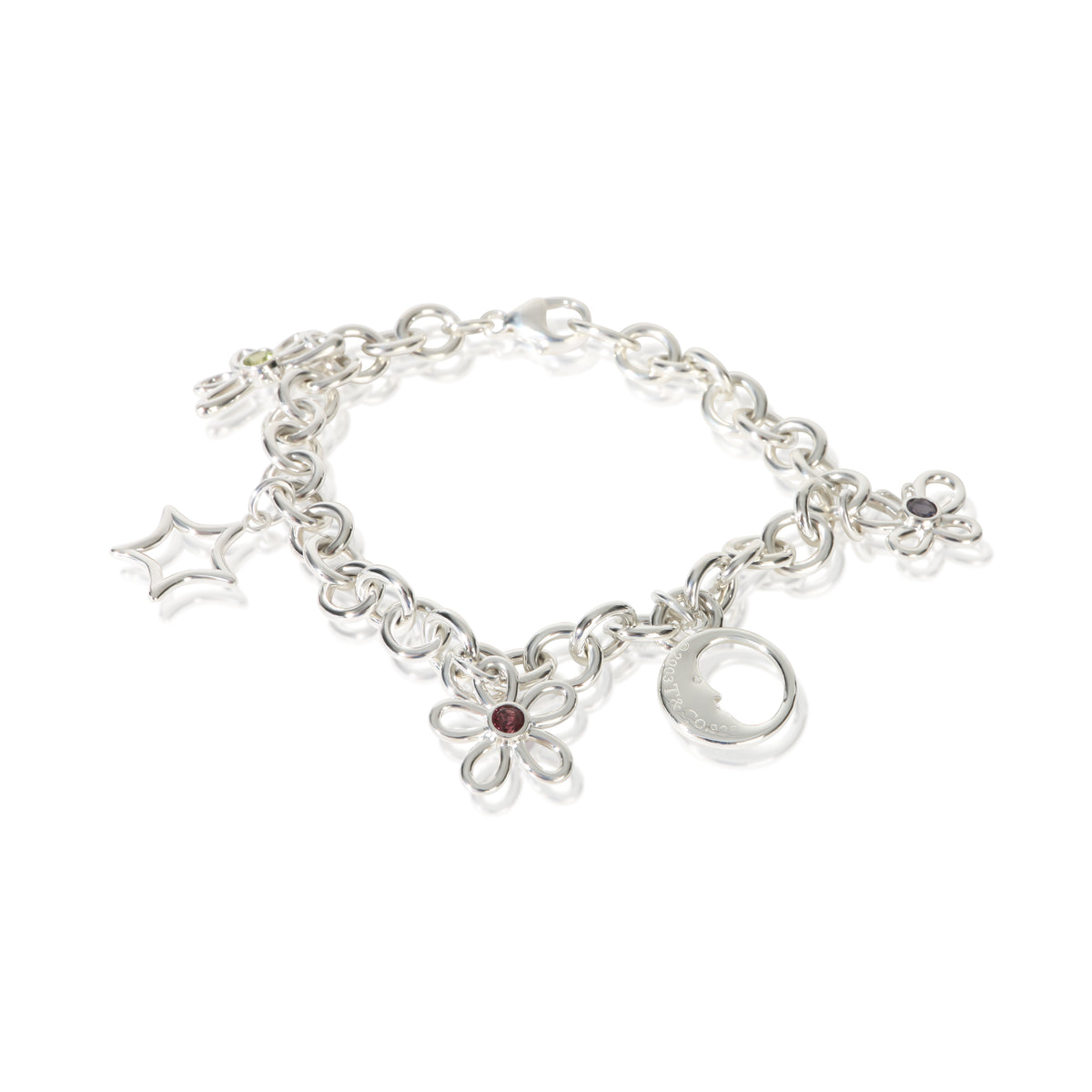 Tiffany & Co. Sterling Silver  Flower, Butterfly & Dragonfly Charm Bracelet fv