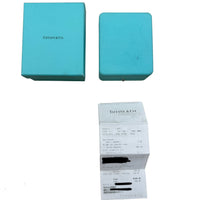 Tiffany & Co. Platinum Diamond Elsa Peretti Diamond By The Yard Pendant box