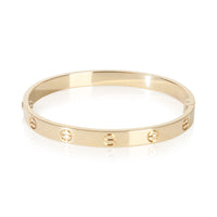 Cartier Yellow Gold  Single Screw Love Bracelet 3