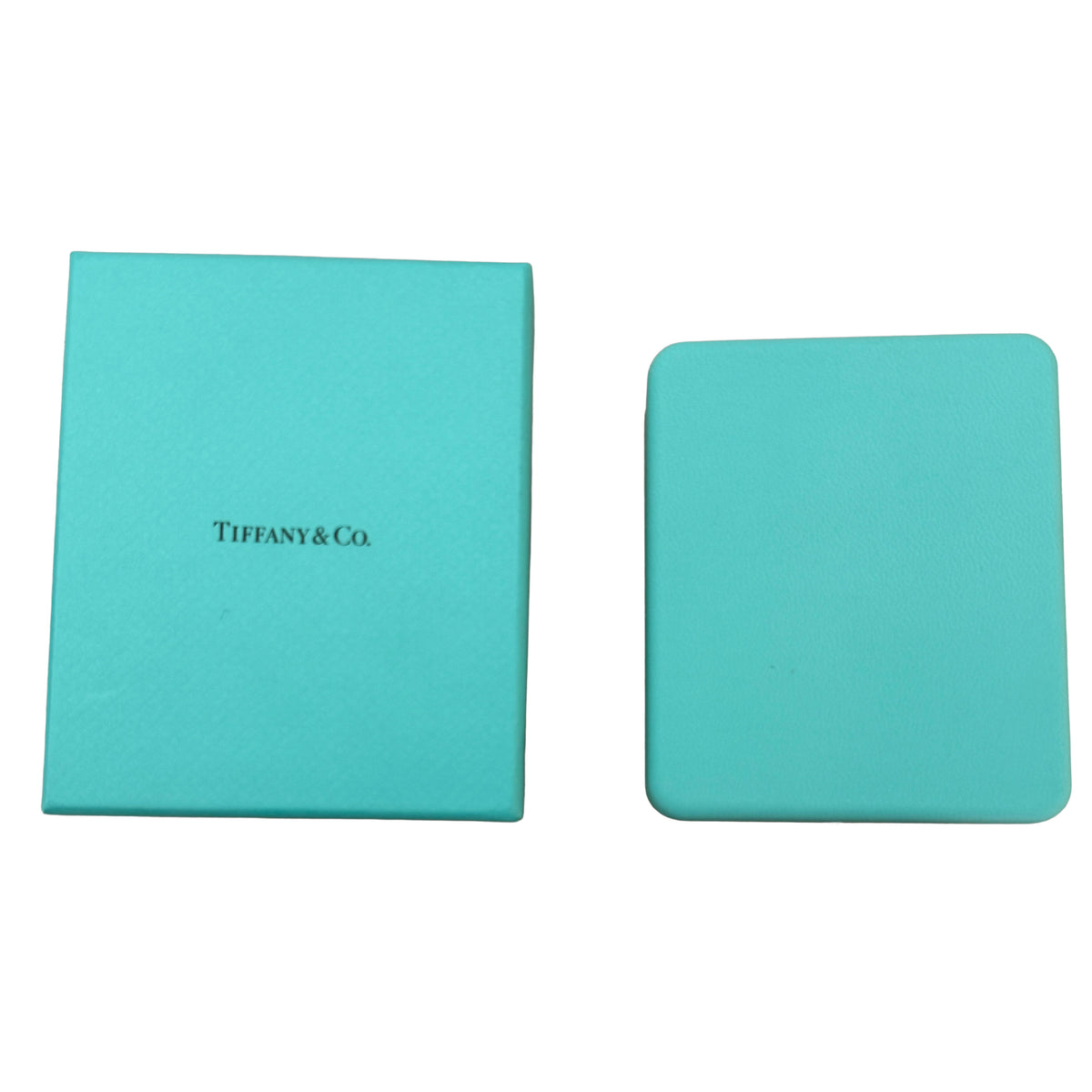 Tiffany & Co. Platinum Diamond Victoria Vine Necklace box