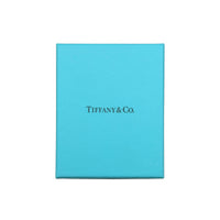 Tiffany & Co. Sterling Silver Elsa Peretti Bean Pendant box