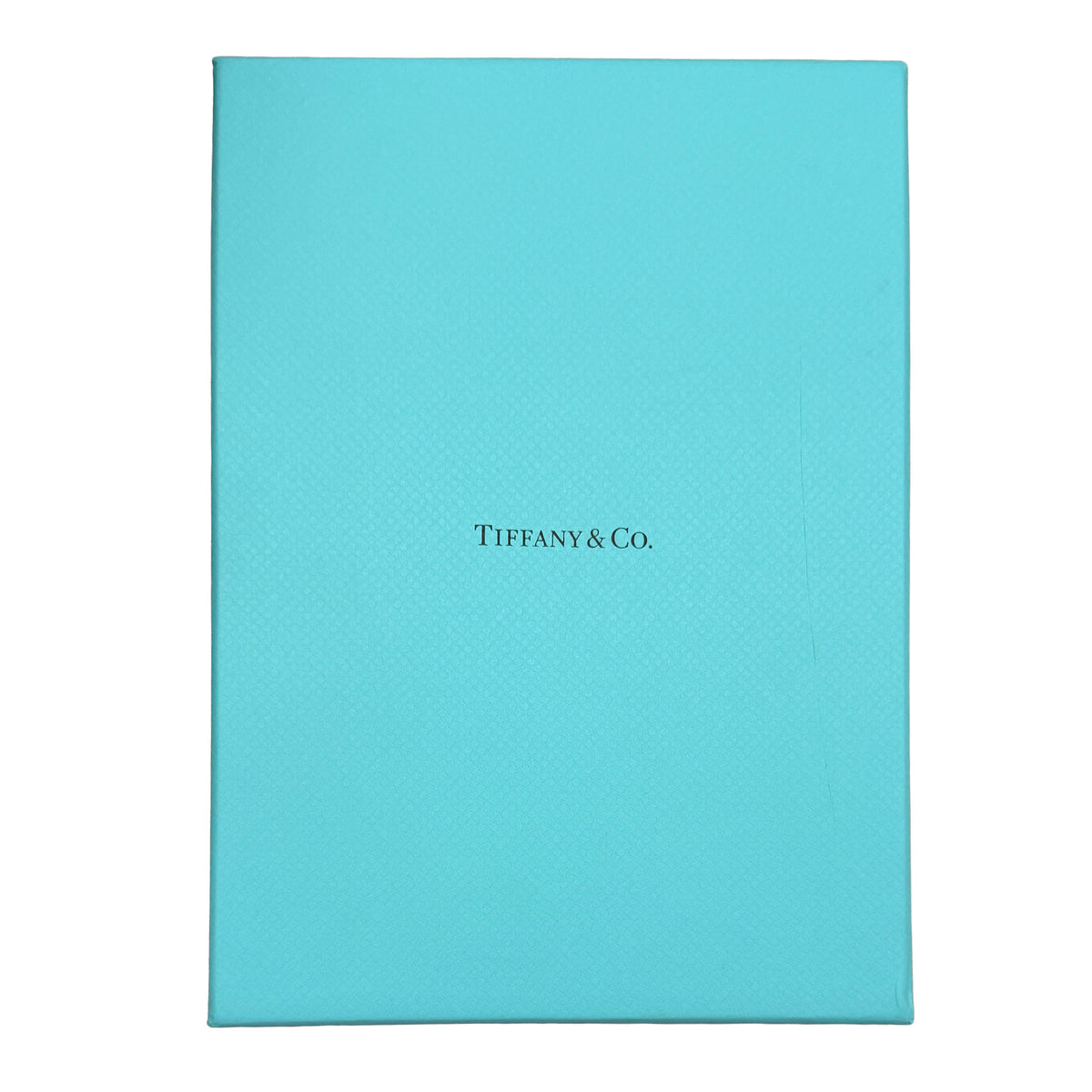 Tiffany & Co. Sterling Silver Pearl HardWear Wrap Necklace box