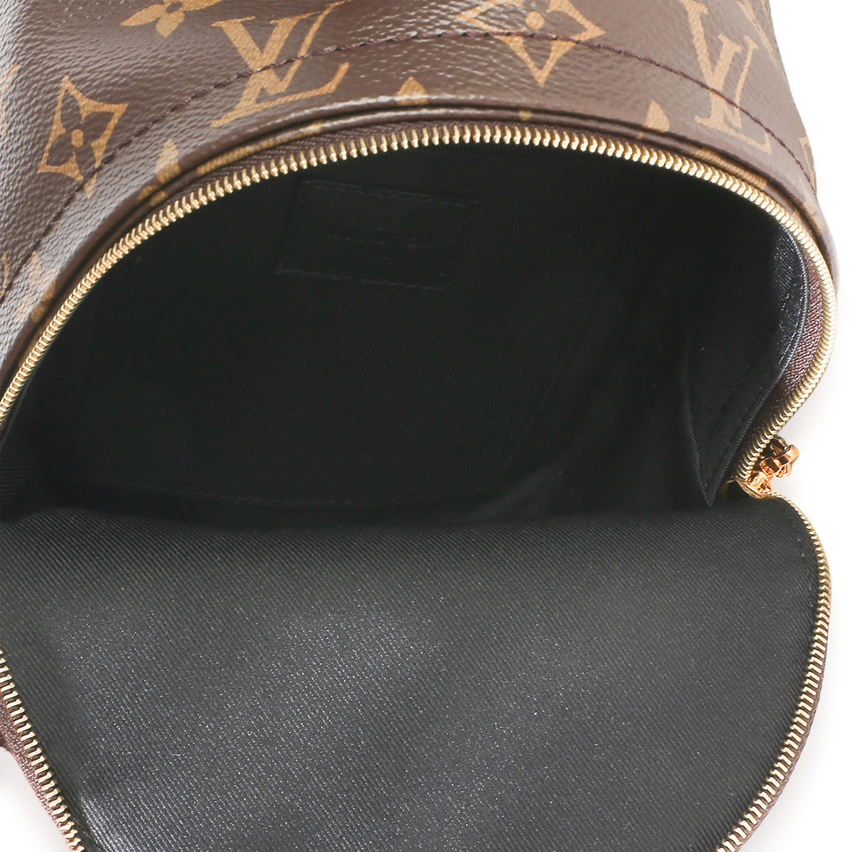 Louis Vuitton Monogram Canvas Mini Palm Springs Backpack Handbag 10