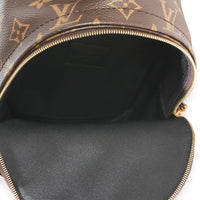 Louis Vuitton Monogram Canvas Mini Palm Springs Backpack Handbag 10
